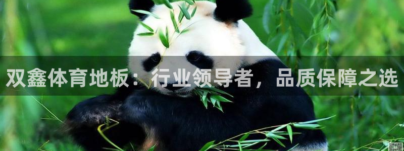 双鑫体育地板：行业领导者，品质保障之选