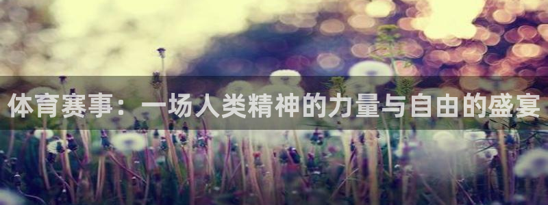 体育赛事：一场人类精神的力量与自由的盛宴