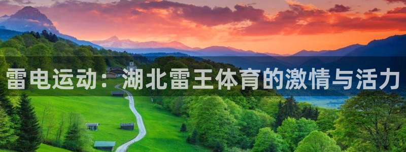 雷电运动：湖北雷王体育的激情与活力