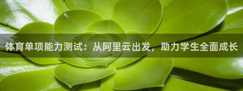 体育单项能力测试：从阿里云出发，助力学生全面成长