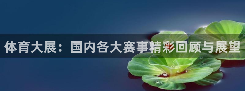体育大展：国内各大赛事精彩回顾与展望