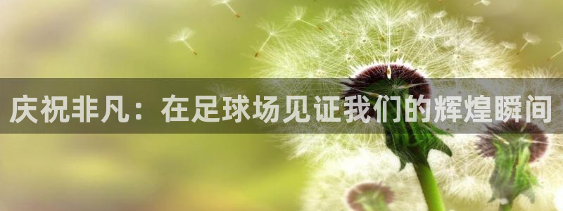 庆祝非凡：在足球场见证我们的辉煌瞬间